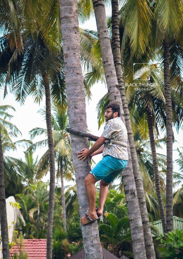 Avana Resort Mettuppālaiyam Extérieur photo